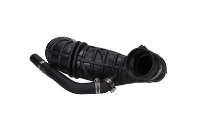 FURTUN EAR SUPRAALIMENTARE