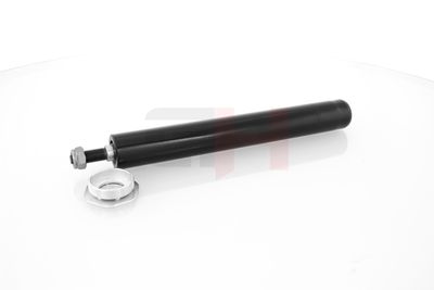 AMORTIZOR GH GH313634 7