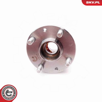 SET RULMENT ROATA ESEN SKV 29SKV066 3