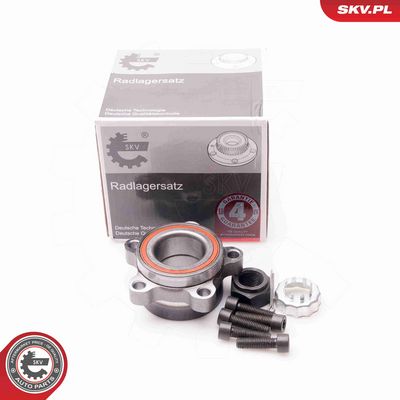 SET RULMENT ROATA ESEN SKV 29SKV047