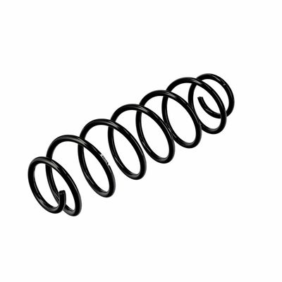 ARC SPIRAL EIBACH R10496 16