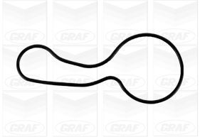 WASSERPUMPE MOTORKüHLUNG GRAF PA1149 1