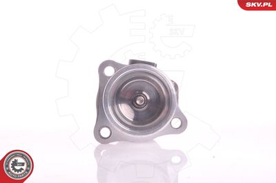 EGR Valve 14SKV011