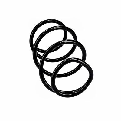 ARC SPIRAL EIBACH R10723 24