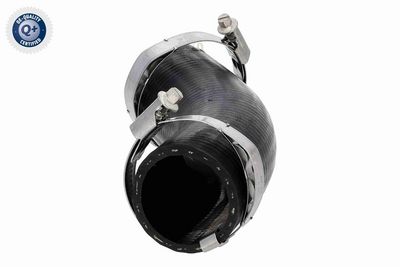 FURTUN EAR SUPRAALIMENTARE ACKOJA A520878 4