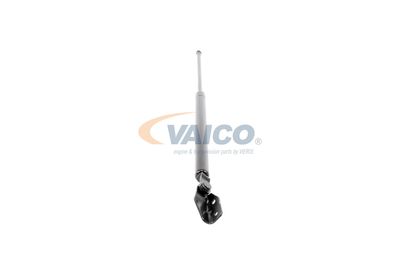 GASFEDER KOFFER-/LADERAUM VAICO V320074 49