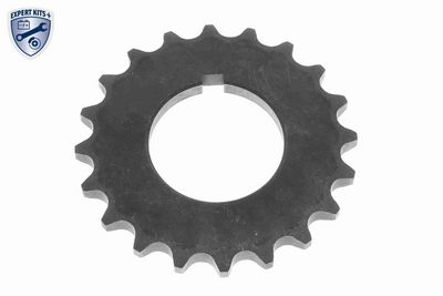 CHIT LANT DE DISTRIBUTIE VAICO V1010008 2