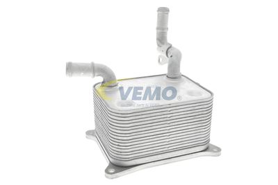 RADIATOR ULEI ULEI MOTOR VEMO V15600013 33