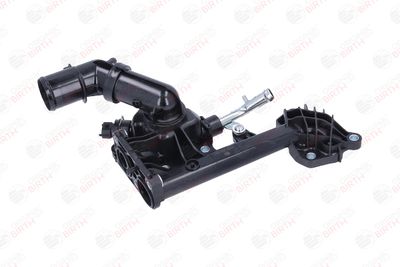 FLANSA LICHID RACIRE BIRTH 81085 7