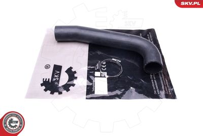 FURTUN EAR SUPRAALIMENTARE