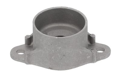 FEDERBEINSTüTZLAGER