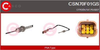 SENZOR TEMPERATURA GAZE EVACUARE