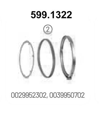 COLIER SISTEM DE ESAPAMENT