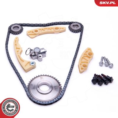 Paskirstymo grandinės komplektas