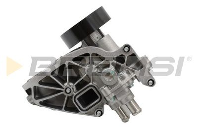 BREMSI WP0626 Помпа (водяной насос)  для CHEVROLET CAPTIVA (C100, C140) 2.2 D