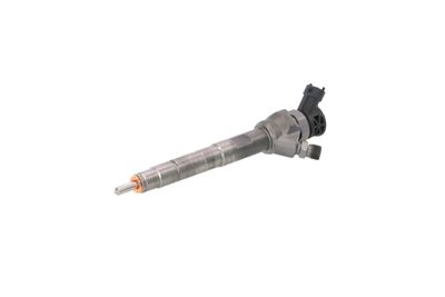INJECTOR REMANTE 002003002245R 8