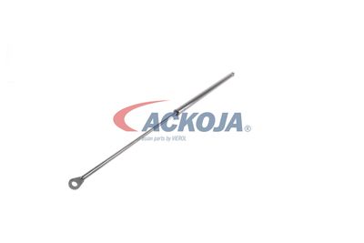 AMORTIZOR PORTBAGAJ ACKOJA A520065 30