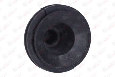 LIMITATOR ACOPERIRE MOTOR BIRTH 51603 12