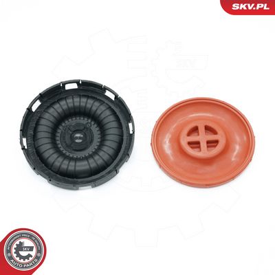 Membrana, karterio alsuoklis