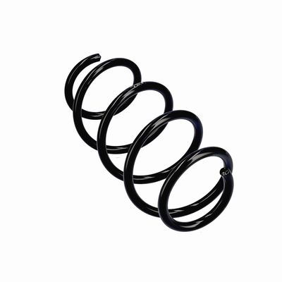 ARC SPIRAL EIBACH R22922 11