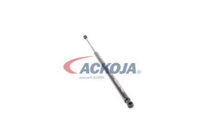 AMORTIZOR PORTBAGAJ ACKOJA A380134 47