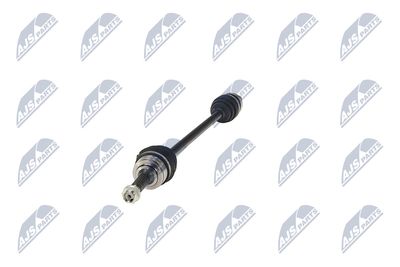 PLANETARA NTY NPWTY094 18