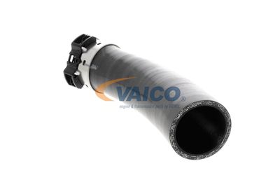 LADELUFTSCHLAUCH VAICO V461198 19