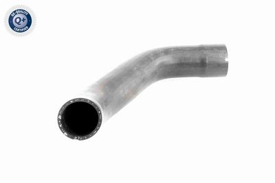 LADELUFTSCHLAUCH VAICO V240712 8