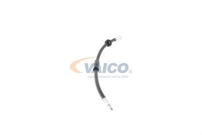 FURTUN FRANA VAICO V201908 48