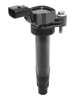 запалителна бобина BorgWarner (BERU) ZSE334