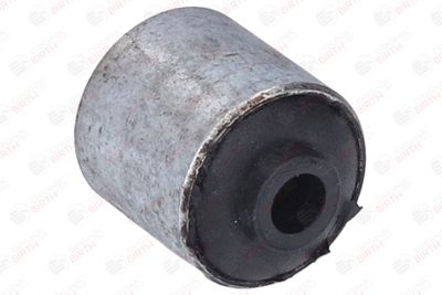 SUPORT TRAPEZ BIRTH 2109 12