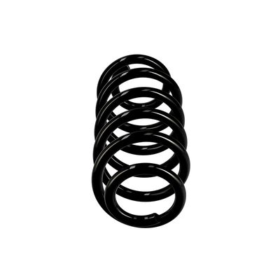 ARC SPIRAL EIBACH R10137 1