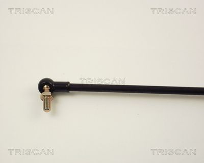 AMORTIZOR PORTBAGAJ TRISCAN 871014213 2