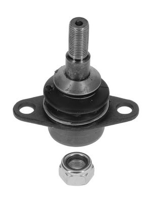 Šarnyras / girgždukas