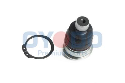 Šarnyras / girgždukas