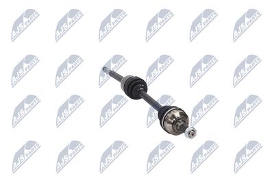 PLANETARA NTY NPWCT009 13