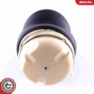 ARC PNEUMATIC DIRECTIE ESEN SKV 58SKV029 1