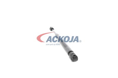 AMORTIZOR PORTBAGAJ ACKOJA A380071 23