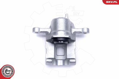 Brake Caliper 50SKV943