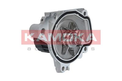 Water Pump, engine cooling T0148
