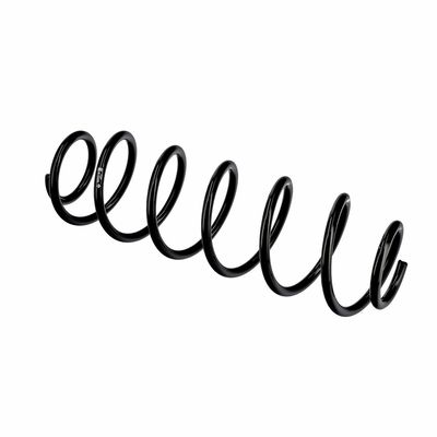 ARC SPIRAL EIBACH R10496 21