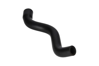 FURTUN ULEI BIRTH 56007 9