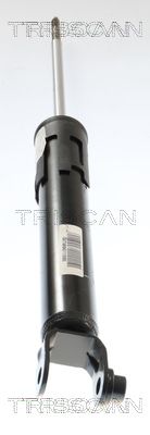 AMORTIZOR TRISCAN 870582202 1
