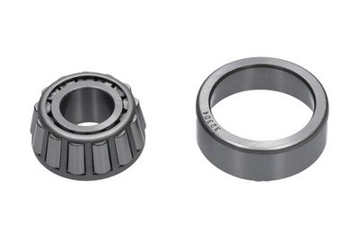 Kavo Parts Rato guolis