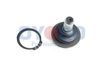 Šarnyras / girgždukas