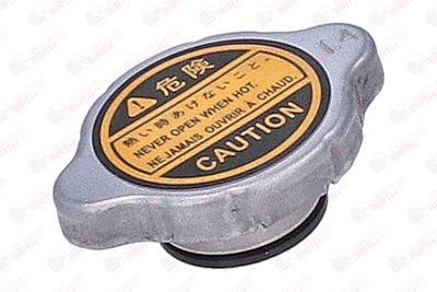 BUSON RADIATOR BIRTH 81184 12