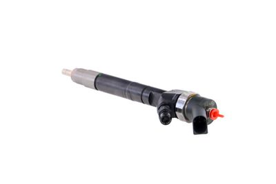 INJECTOR REMANTE 002003001099R 19