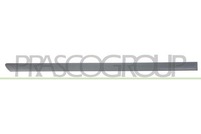 ELEMENTE DECORATIVE/PROTECTIE PORTIERA