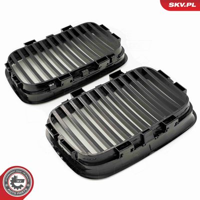 GRILA RADIATOR ESEN SKV 66SKV043 2