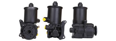 HYDRAULIKPUMPE LENKUNG DRI 715520829